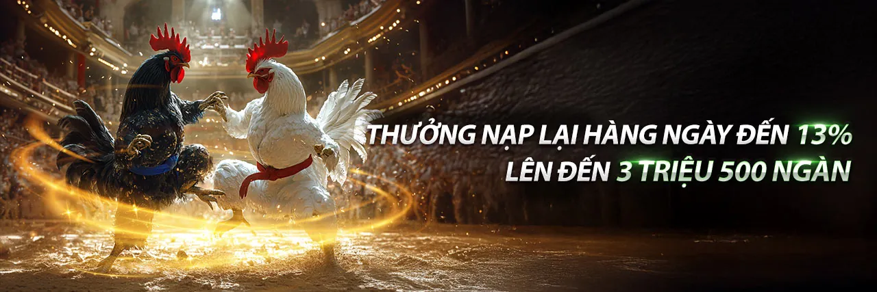 Đá gà trực tuyến với tỷ lệ kèo 88
