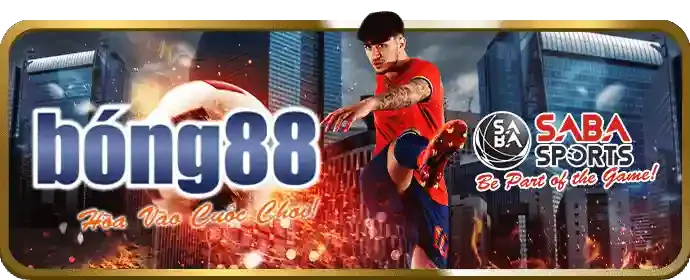 Giải thích các loại tỷ lệ kèo 88